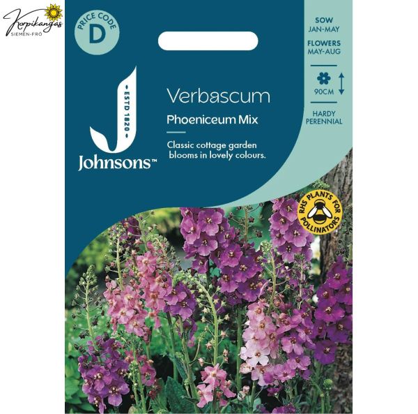 Purppuratulikukka -värisekoitus